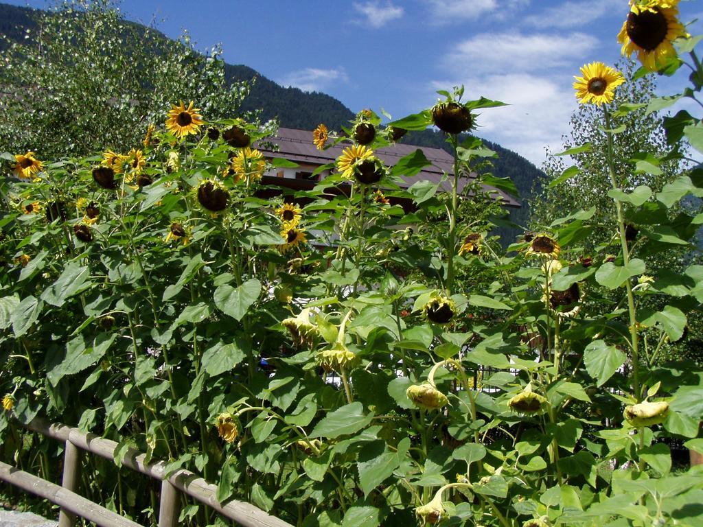La 3* Pinzolo